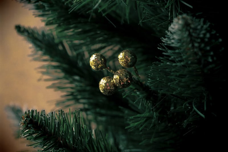 Evergreen Elegance